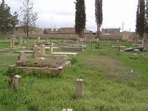 TELAGH LE CIMETIERE 17